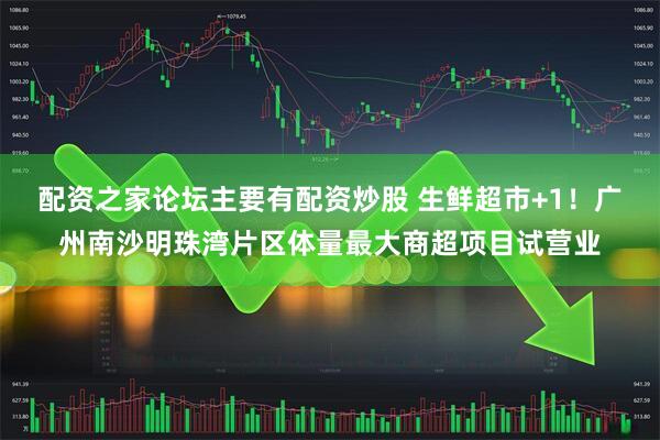 配资之家论坛主要有配资炒股 生鲜超市+1！广州南沙明珠湾片区体量最大商超项目试营业